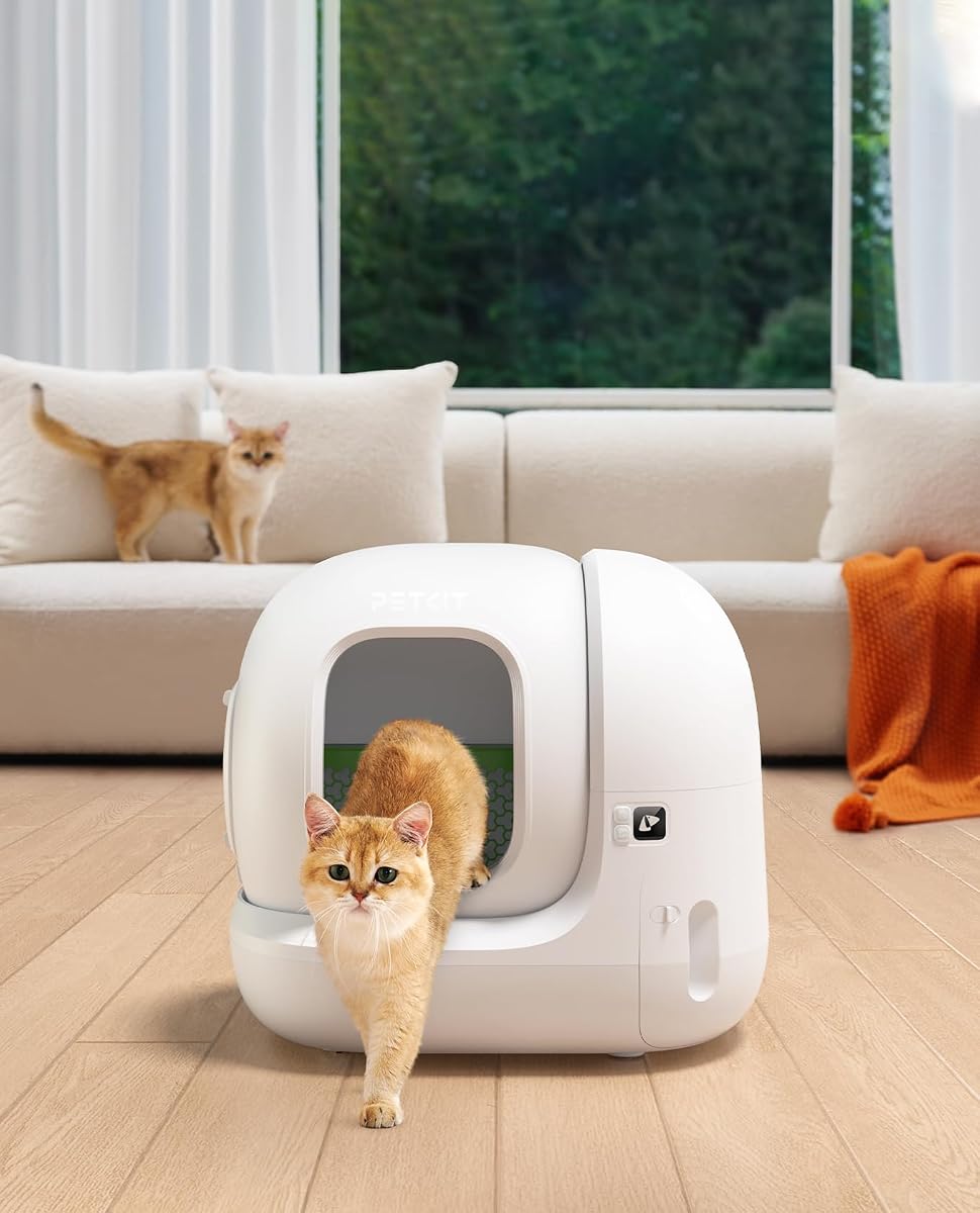 Chat sortant de la litière automatique dans un salon